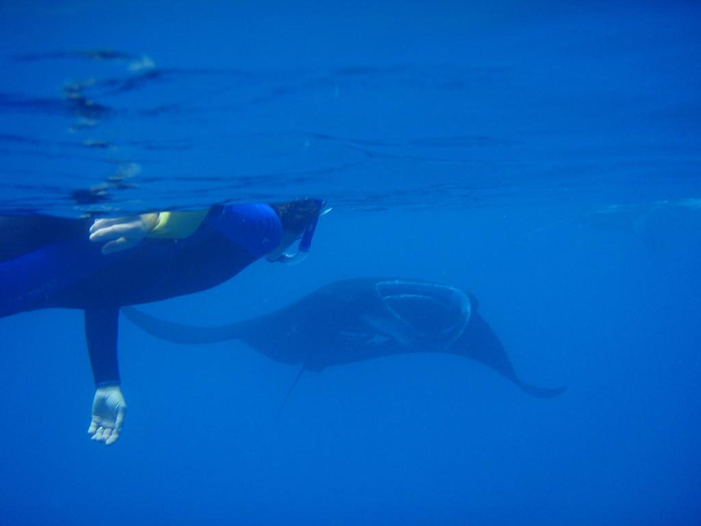 Mai Dive' Astrolabe Reef Resort Naqara المظهر الخارجي الصورة