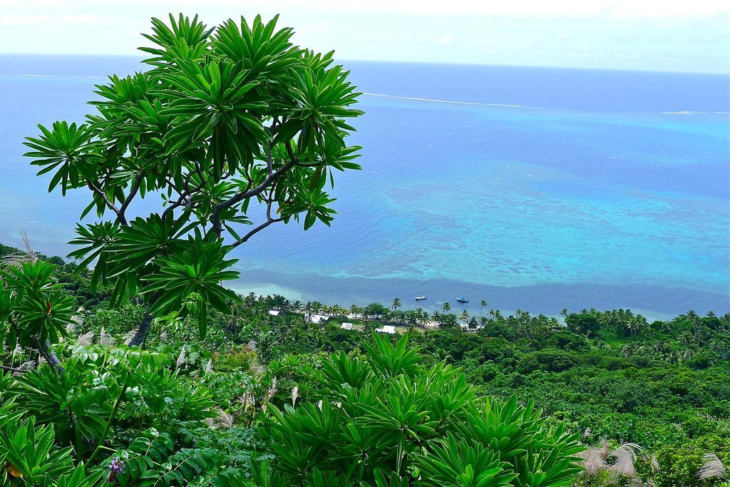 Mai Dive' Astrolabe Reef Resort Naqara الغرفة الصورة