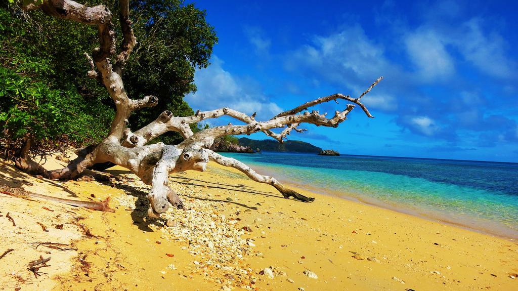 Mai Dive' Astrolabe Reef Resort Naqara المظهر الخارجي الصورة
