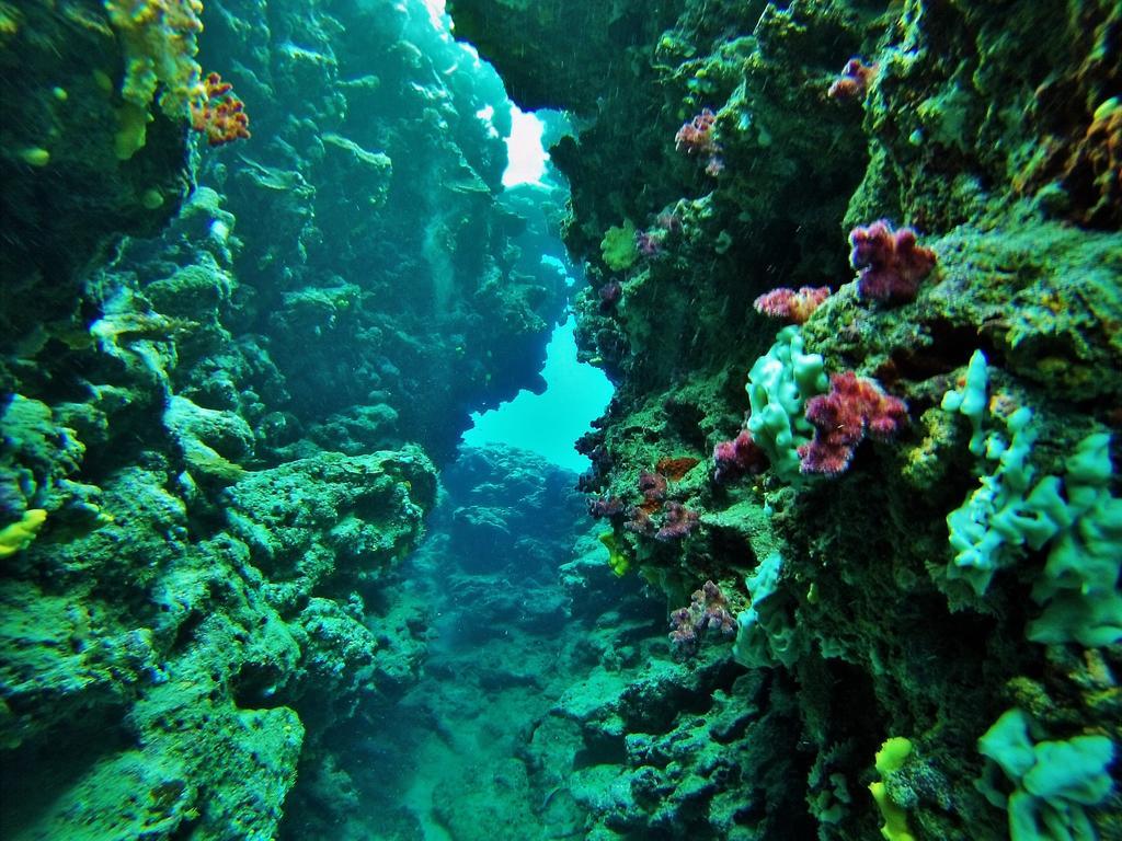 Mai Dive' Astrolabe Reef Resort Naqara المظهر الخارجي الصورة